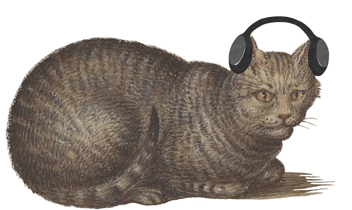 Audioguide-Katze2-min.png